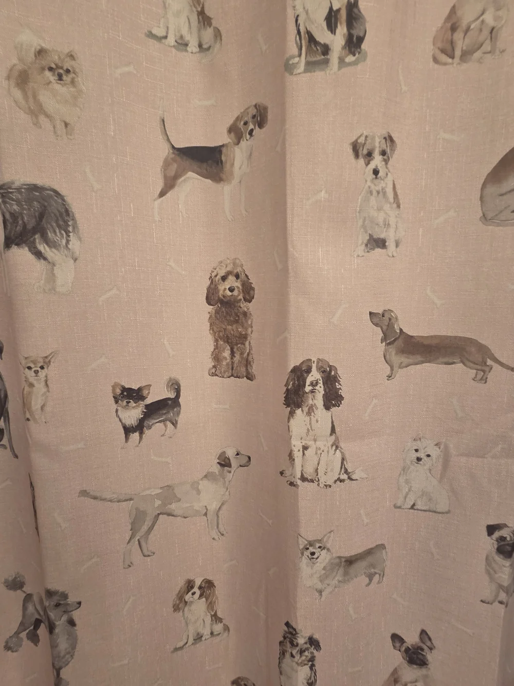 Dog Print Shower Curtain - Pink